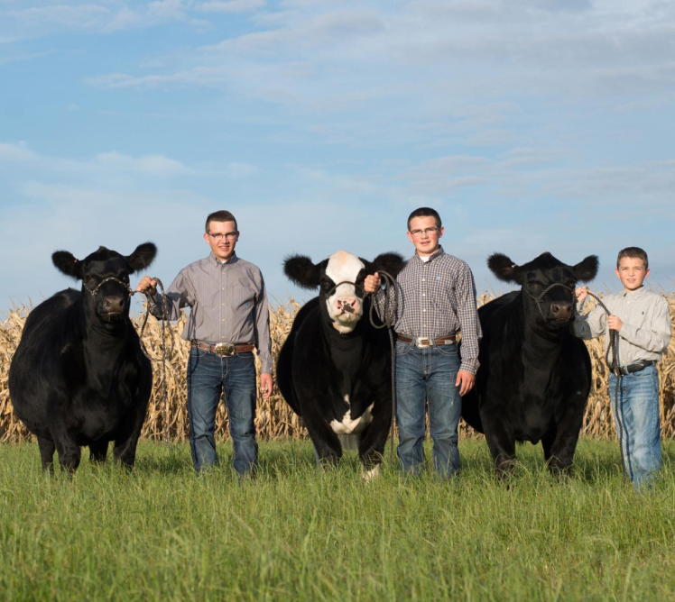 View from behind a man wearing ah ate taking a photo